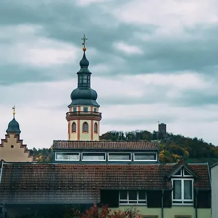 Evergreen Cozy Im Herzen Von Durlach Lägenhet